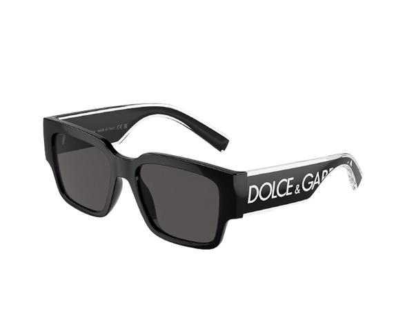 DX 6004