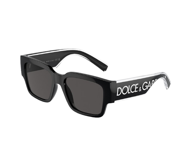 DX 6004